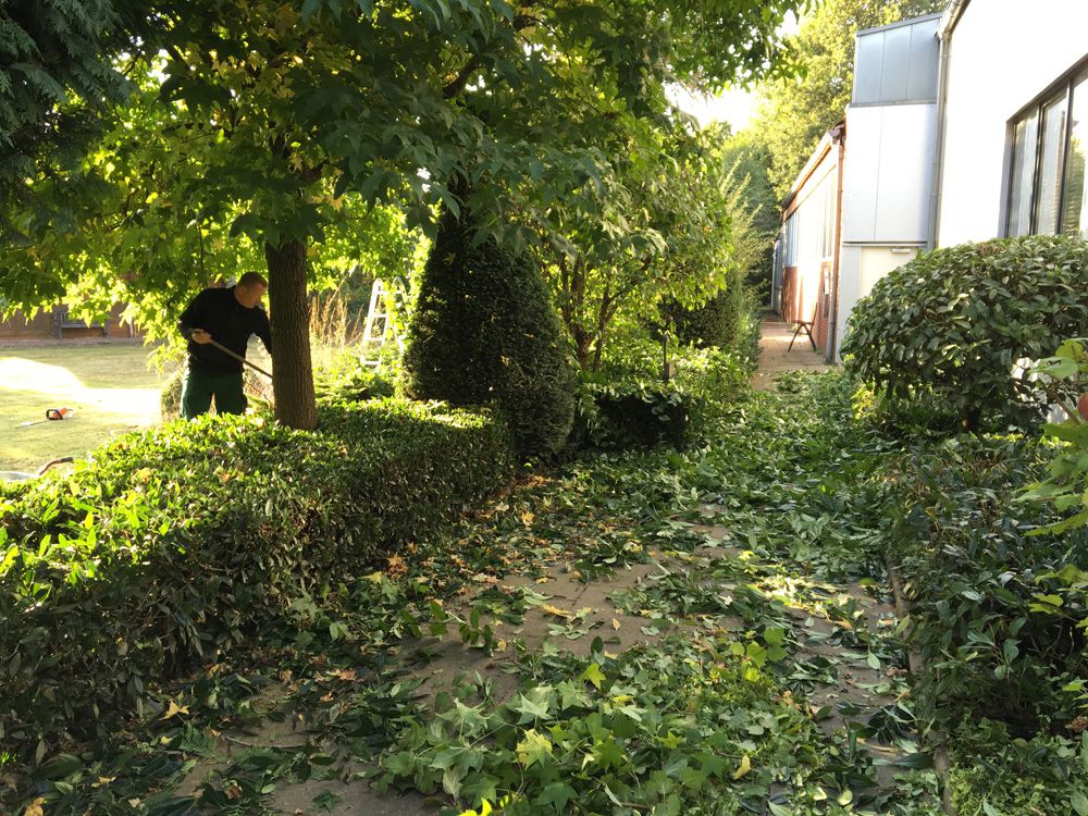 Steuervorteil Bei Gartenarbeit Garten Und Landschaftsbauer In