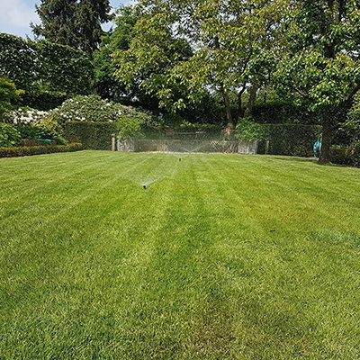 Gartenpflege Garten Und Landschaftsbauer In Kempen Schraps